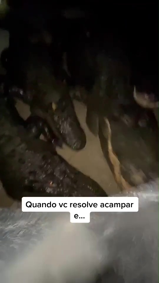 El brasileño captó el momento en que los cocodrilos intentaron atacar la improvisada sede
