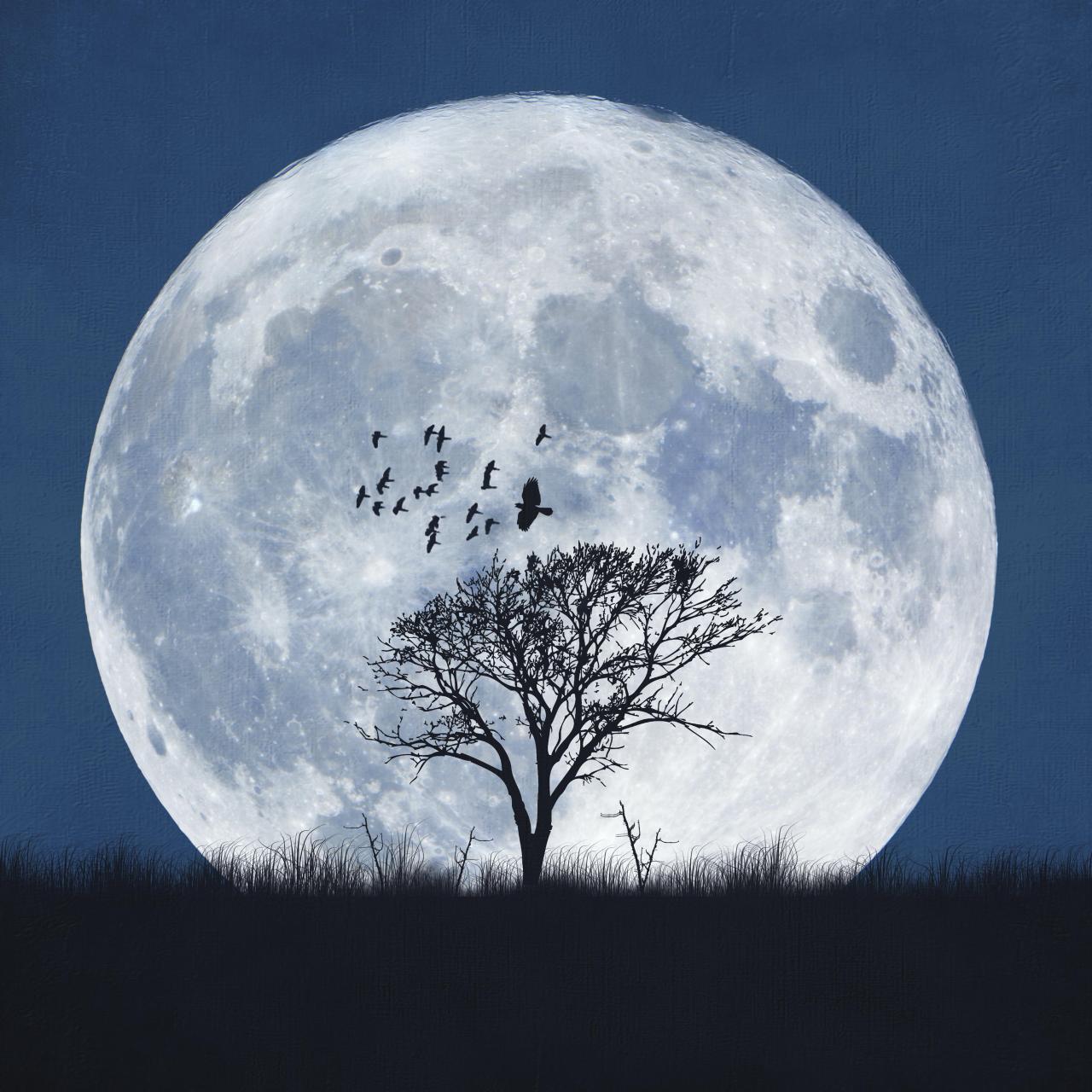     Cada 29,5 días vemos la luna llena, y la luna llena de cada mes tiene un nombre especial
