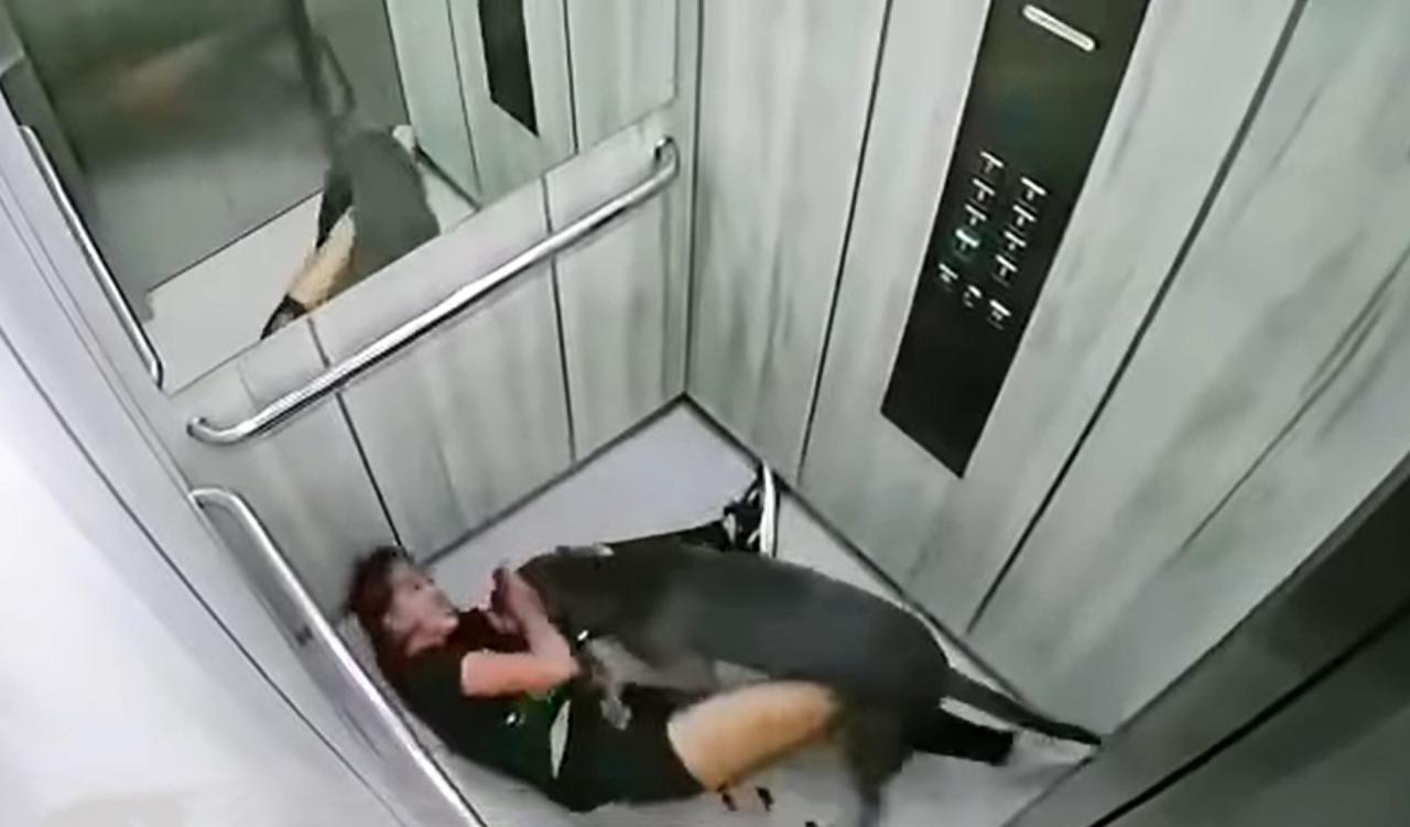 La mujer se arrastró hasta el ascensor mientras el perro seguía mordisqueándola.