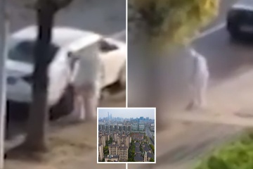 El momento en que el perro es asesinado a golpes por un profesional de la salud después de que el dueño pasa la prueba de Covid