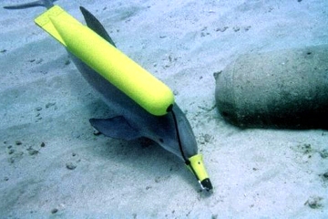 ¿Cuán desesperada Rusia usa DELPHINS para proteger su flota después de que el buque insignia se hunda?