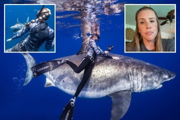 Soy un buceador que nado con tiburones de 20 pies. Hay un mito común que no es cierto.