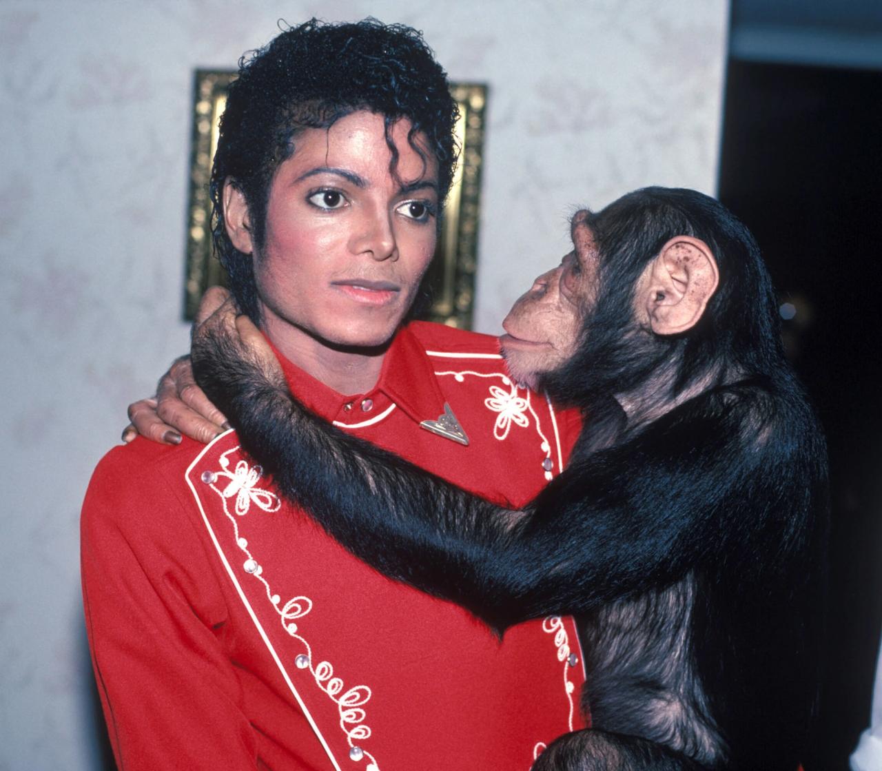Michael Jackson y Bubbles the Chimp alguna vez fueron mejores amigos
