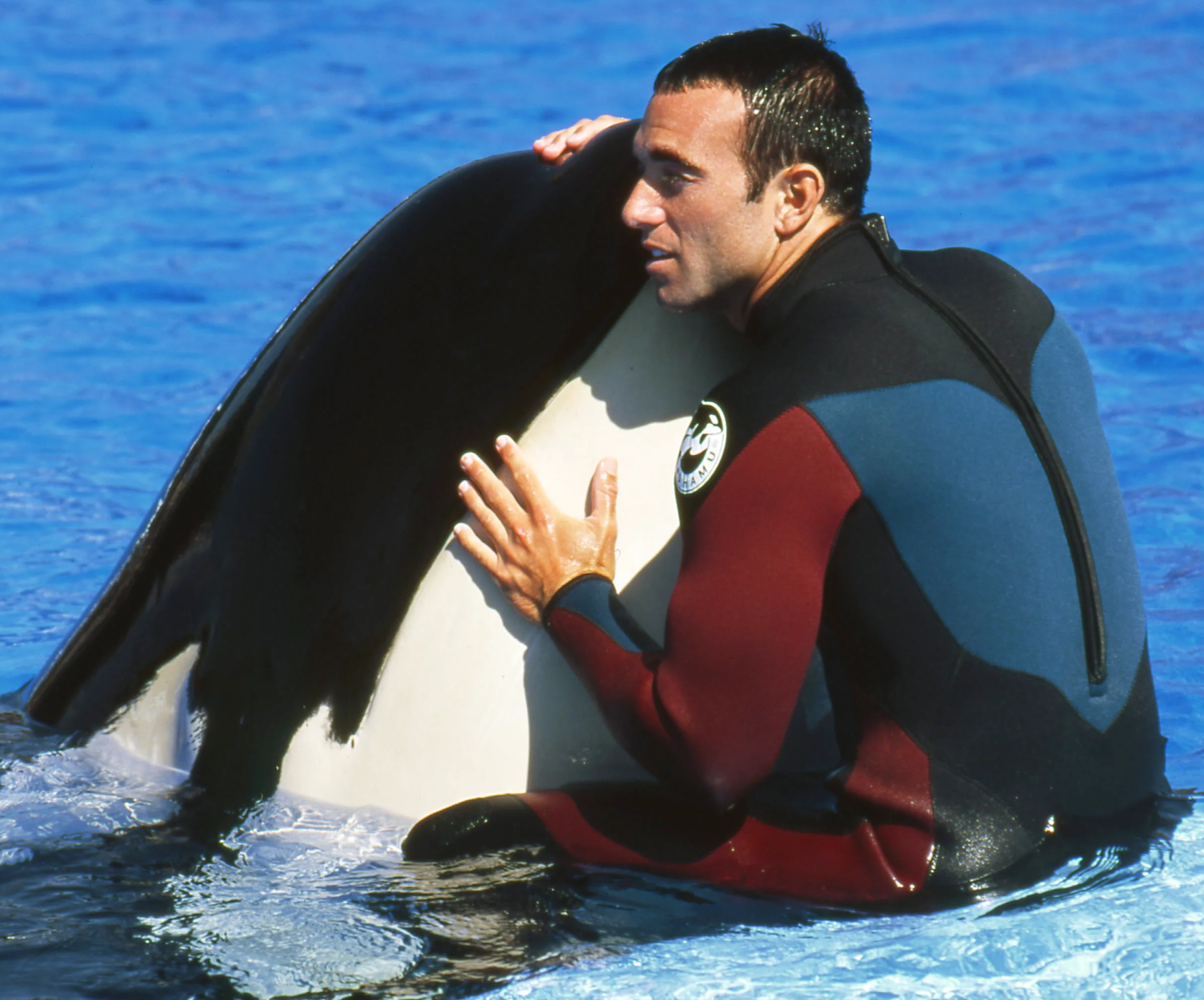 El exentrenador de SeaWorld, John Hargrove, está haciendo campaña para mejorar las condiciones de vida de las orcas en cautiverio.