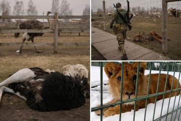 Zoológico ucraniano 