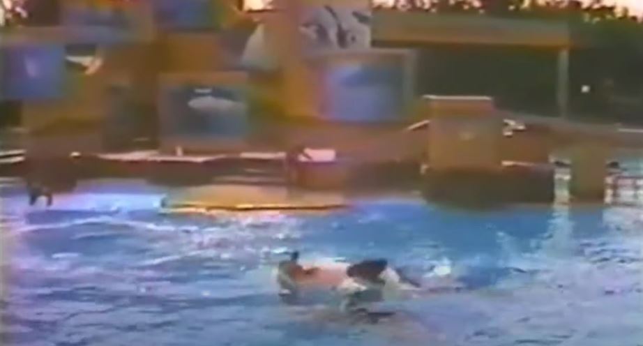 SeaWorld orca Kandu 5 estuvo involucrado en el aterrador incidente con el entrenador en marzo de 1987.