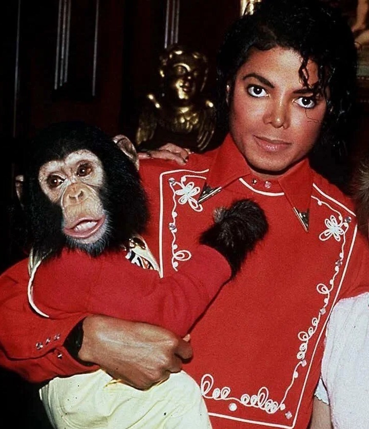 Según los informes, MJ rechazó a Bubbles cuando era demasiado mayor