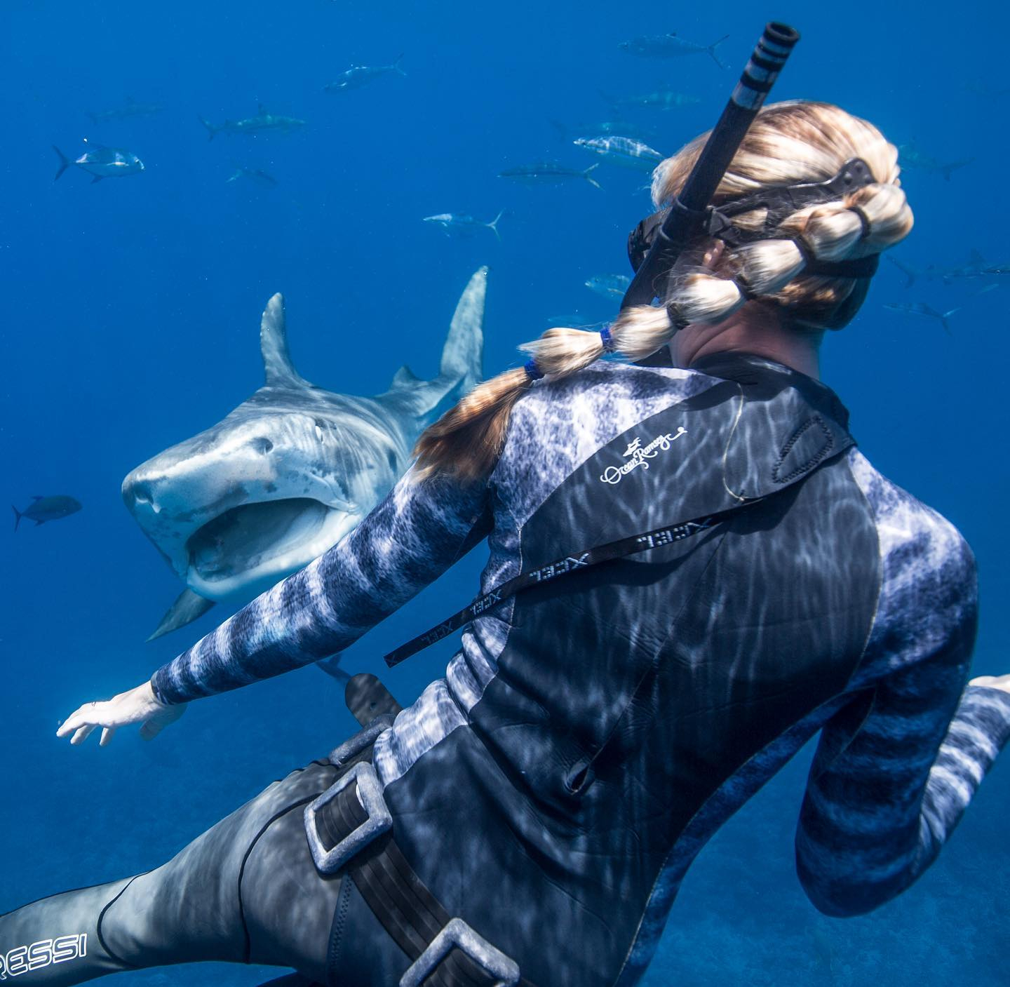 La experta en tiburones Kayleigh Nicole Grant compartió algunos consejos para los nadadores que se encuentran con depredadores en el agua.