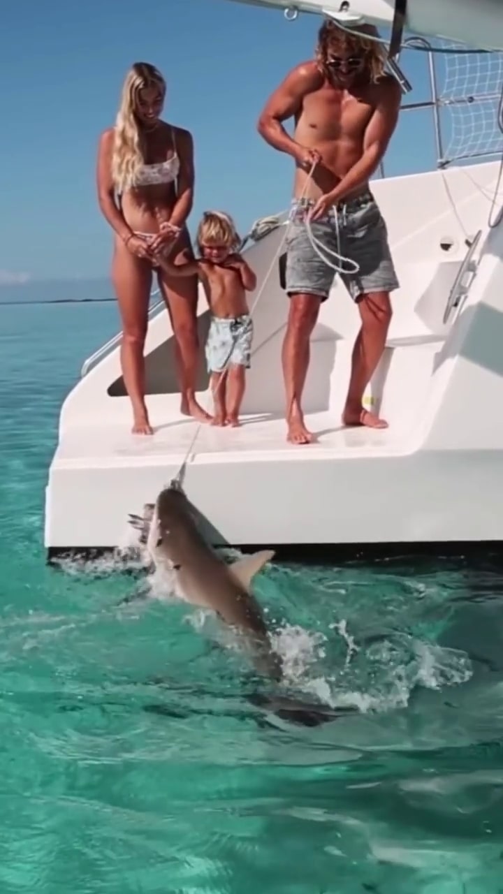 En el video, se ve a Riley alimentando a un tiburón a solo unos centímetros del hijo de dos años de la pareja.