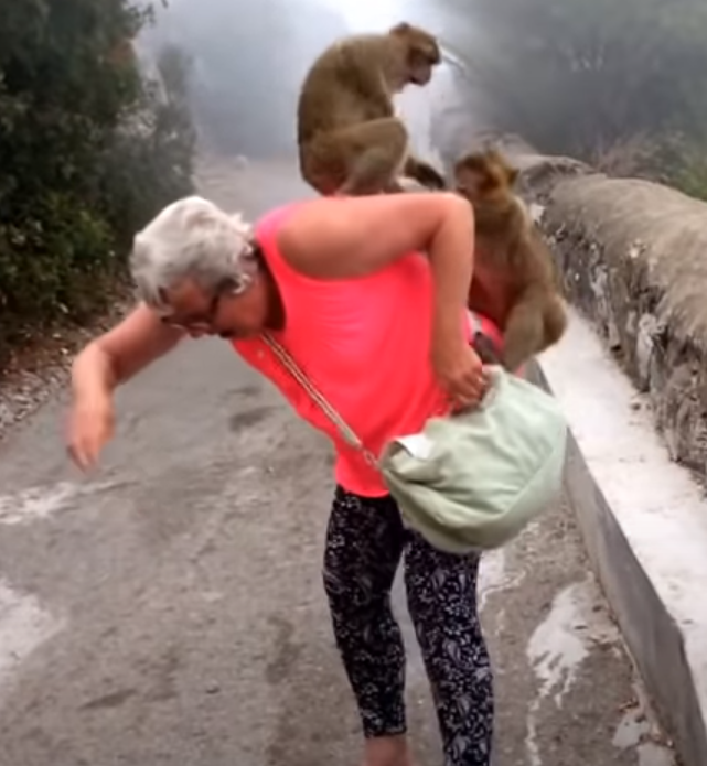 La mujer tiene dos monos arrastrándose sobre ella mientras explora la Roca.