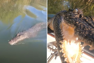 Impresionante momento cuando un enorme cocodrilo salta al barco pesquero de la pareja