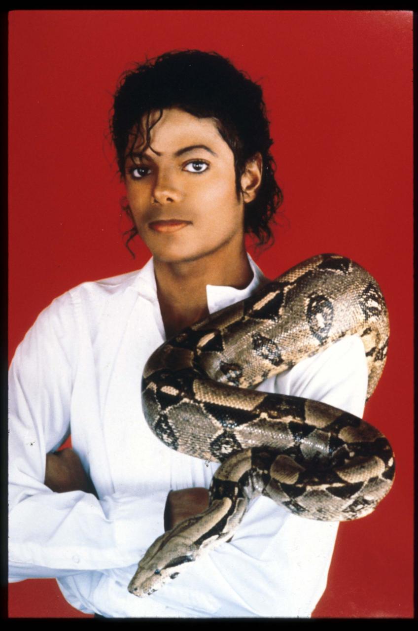 Jackson mantuvo caimanes y serpientes