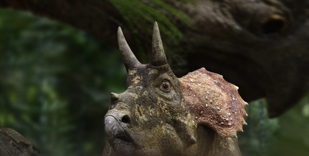 El episodio cinco cuenta la historia de un joven Triceratops separado de su madre en el norte de África.