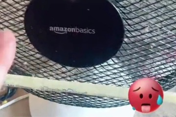 Mi truco de 16p hace que los fanáticos sean aún más geniales: estoy demasiado gordo para el calor