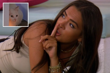 Los fanáticos de Love Island ruegan a los productores que salven al gato