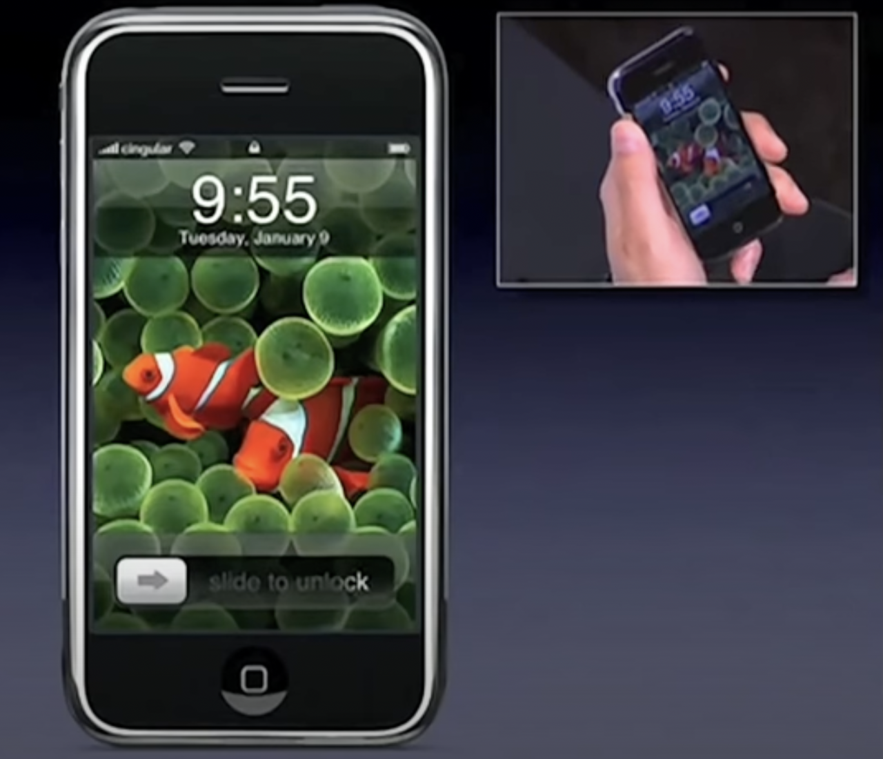 Fondo de pantalla de iPhone Clownfish como se ve durante el discurso de Apple para el primer modelo