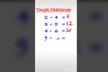 ¿Puedes resolver el rompecabezas de