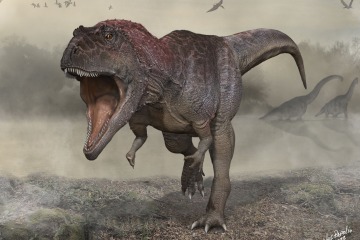 El nuevo hallazgo de fósiles de dinosaurios explica la verdadera razón por la que el T Rex tenía los brazos cortos