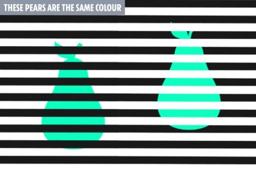 Tienes ojos de halcón si puedes ver la similitud oculta entre estas 2 peras