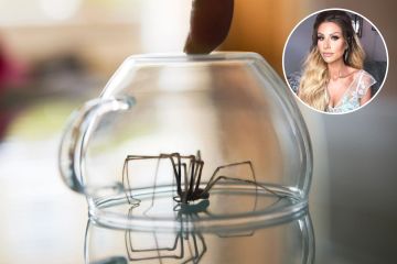 Los fanáticos de Mrs. Hinch están locos por el producto natural para mantener alejadas a las arañas