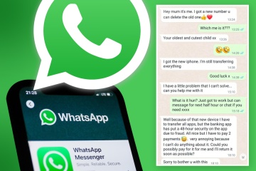 Advierta a todos sus conocidos: el texto inseguro de WhatsApp causa HAVOC