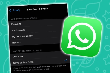 Cómo ocultar su estado en línea de WhatsApp: nuevo truco para usar el 