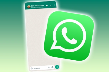 Millones de usuarios de WhatsApp han llamado para conocer el 