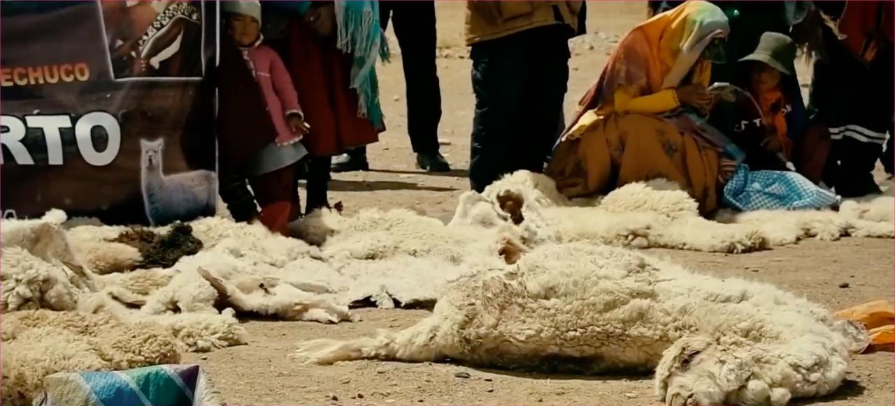 La cabra fue una de varias matanzas de ganado que los lugareños han relacionado con la leyenda.